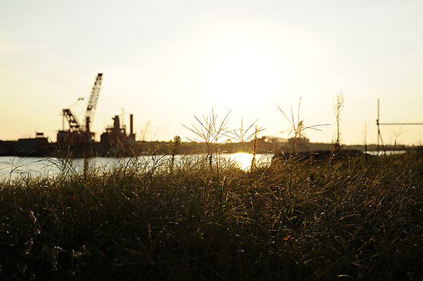 포토 JPG 주간 식물 자연 하늘 풍경 사람없음 야외 아웃포커스 노을 국내포토 자연요소 촬영기법 생태계 파일형식