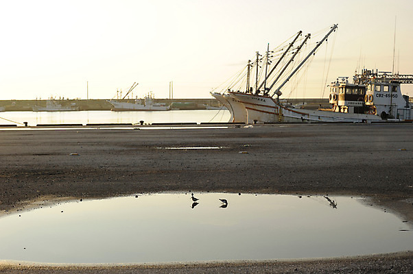 포토 JPG 주간 바다 자연 풍경 사람없음 야외 물 반사 노을 항구 선박 국내포토 자연요소 수상교통 교통시설 생태계 파일형식