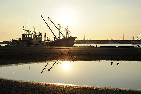 포토 JPG 주간 바다 자연 풍경 사람없음 야외 물 햇빛 태양 반사 노을 항구 선박 국내포토 자연요소 수상교통 교통시설 생태계 파일형식