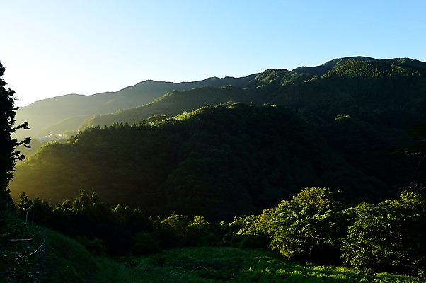 포토 JPG 주간 나무 식물 자연 하늘 산 풍경 사람없음 야외 햇빛 국내포토 자연요소 태양 생태계 파일형식