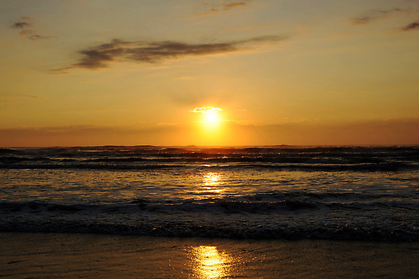 포토 JPG 주간 바다 자연 풍경 해변 사람없음 야외 태양 노을 국내포토 자연요소 생태계 파일형식