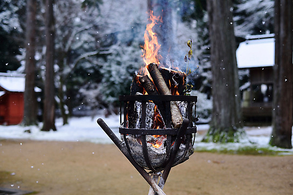 포토 JPG 주간 나무 계절 겨울 자연 불 사람없음 야외 아웃포커스 일본 눈 장작 국내포토 자연요소 식물 아시아 날씨 촬영기법 생태계 파일형식