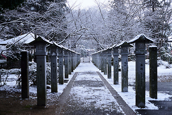 포토 JPG 주간 나무 식물 해외풍경 해외 건축물 계절 길 겨울 자연 풍경 사람없음 야외 일본 나뭇가지 눈 신사_일본건축 국내포토 자연요소 건축 아시아 날씨 생태계 일본건축 파일형식
