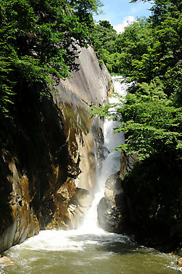 포토 JPG 주간 나무 식물 자연 풍경 사람없음 야외 물 폭포 흐름 국내포토 자연요소 컨셉 생태계 파일형식