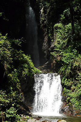 포토 JPG 주간 식물 자연 풍경 사람없음 야외 물 폭포 흐름 국내포토 자연요소 컨셉 생태계 파일형식
