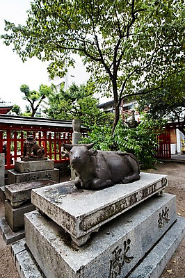 포토 JPG 주간 나무 식물 일본문화 자연 사람없음 야외 일본 소 석상 국내포토 자연요소 동양문화 아시아 외국문화 포유류 생태계 파일형식