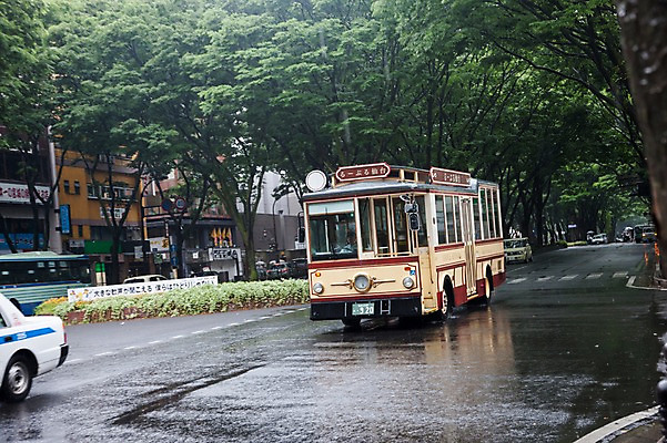 포토 JPG 주간 나무 식물 해외풍경 해외 도로 길 육상교통 교통수단 자동차 버스 대중교통 풍경 사람없음 야외 도시풍경 일본 도시 두대 국내포토 자연요소 아시아 교통 2 교통시설 파일형식