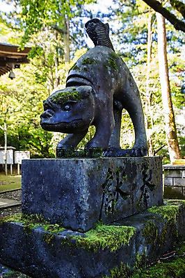 포토 JPG 주간 식물 동물 이끼 사람없음 야외 아웃포커스 일본 석상 국내포토 자연요소 아시아 촬영기법 파일형식