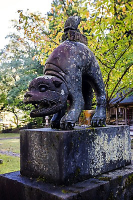 포토 JPG 주간 식물 동물 이끼 사람없음 야외 일본 석상 국내포토 자연요소 아시아 파일형식