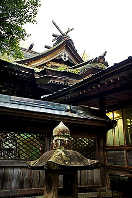 포토 JPG 주간 나무 식물 해외풍경 해외 건축물 고건축 풍경 사람없음 야외 일본 일본건축 국내포토 자연요소 건축 아시아 동양건축 파일형식