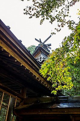 포토 JPG 주간 나무 식물 해외풍경 해외 건축물 고건축 하늘 지붕 풍경 사람없음 야외 일본 일본건축 국내포토 자연요소 건축 아시아 동양건축 파일형식