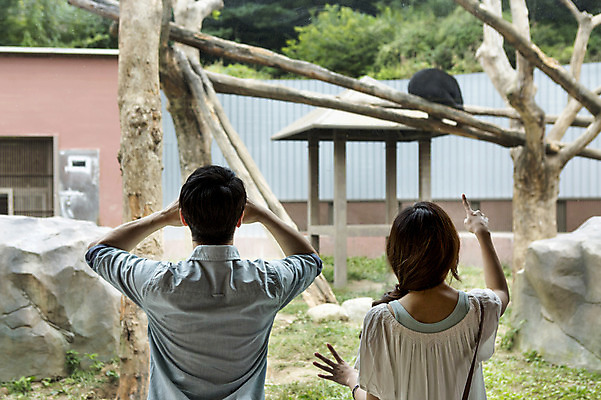 포토 JPG 주간 동물 커플 여자 남자 동물원 사람 동양인 손짓 상반신 20대 성인 야외 두명 뒷모습 한국인 가리킴 청년만 성인만 국내포토 자연요소 뷰포인트 관계 모션 인종 청년 파일형식