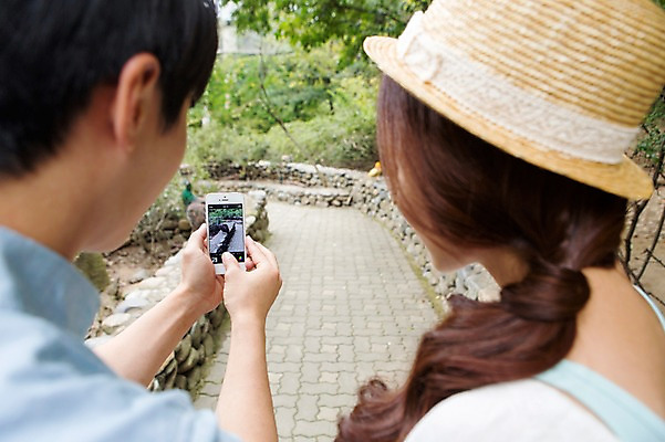 포토 JPG 주간 모자 커플 여자 남자 동물원 들기 사람 동양인 상반신 20대 성인 야외 두명 뒷모습 스마트폰 핸드폰 사진촬영 한국인 청년만 성인만 국내포토 자연요소 잡화 뷰포인트 관계 모션 인종 청년 전자제품 스마트기기 촬영 파일형식