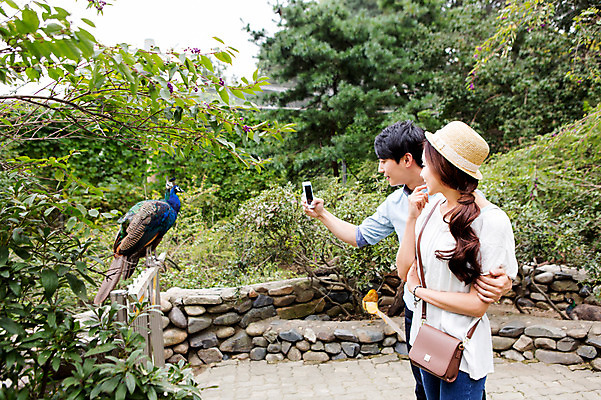 포토 JPG 주간 동물 커플 여자 남자 조류 동물원 서기 들기 사람 동양인 상반신 20대 성인 야외 두명 옆모습 스마트폰 핸드폰 사진촬영 한국인 청년만 성인만 국내포토 자연요소 뷰포인트 관계 모션 인종 청년 전자제품 스마트기기 촬영 파일형식