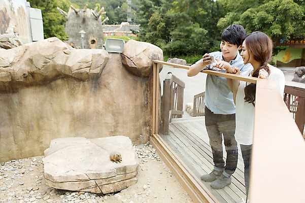 포토 JPG 주간 전신 동물 커플 여자 남자 동물원 서기 웃음 들기 사람 동양인 20대 성인 야외 두명 스마트폰 핸드폰 사진촬영 한국인 프레리도그 청년만 성인만 국내포토 자연요소 포유류 관계 모션 표정 인종 청년 전자제품 스마트기기 촬영 파일형식