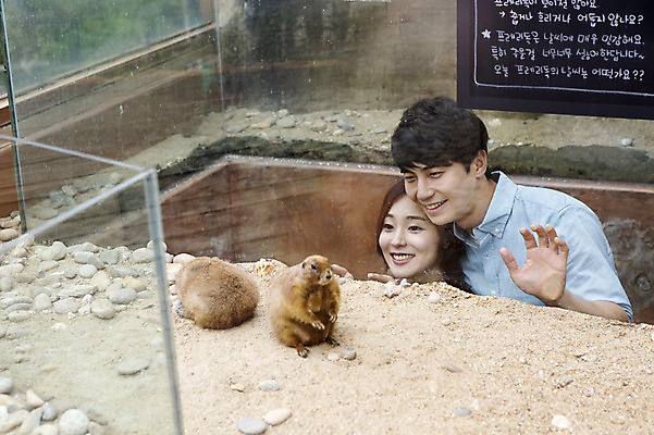 포토 JPG 주간 동물 커플 여자 남자 동물원 웃음 사람 동양인 상반신 20대 성인 야외 두명 한국인 프레리도그 청년만 성인만 국내포토 자연요소 포유류 관계 표정 인종 청년 파일형식