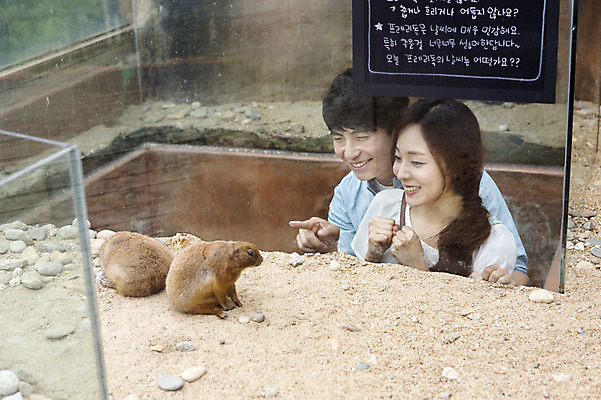 포토 JPG 주간 동물 커플 여자 남자 동물원 웃음 사람 동양인 손짓 상반신 20대 성인 야외 두명 한국인 가리킴 프레리도그 청년만 성인만 국내포토 자연요소 포유류 관계 모션 표정 인종 청년 파일형식