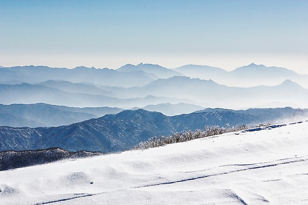 포토 JPG 주간 계절 겨울 자연 산 풍경 사람없음 야외 정상 전라북도 산등성이 덕유산 상고대 국내포토 자연요소 전라도 생태계 서리 무주 파일형식