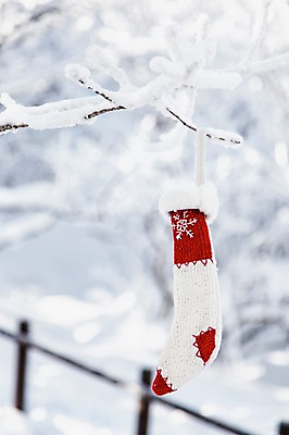 포토 JPG 주간 나무 계절 겨울 자연 크리스마스용품 양말 풍경 사람없음 야외 아웃포커스 나뭇가지 전라북도 덕유산 상고대 국내포토 자연요소 식물 크리스마스 산 촬영기법 전라도 용품 생태계 서리 무주 파일형식
