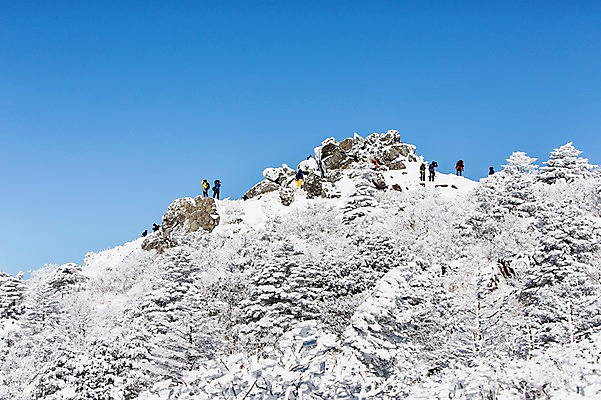 포토 JPG 주간 계절 겨울 자연 산 눈꽃 사람 풍경 여러명 야외 등산 정상 전라북도 덕유산 상고대 국내포토 자연요소 다수 눈_날씨 트래킹 전라도 생태계 서리 무주 파일형식