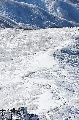 포토 JPG 주간 계절 길 겨울 자연 풍경 사람없음 야외 울타리 전라북도 덕유산 상고대 국내포토 자연요소 산 담장 전라도 생태계 서리 무주 파일형식