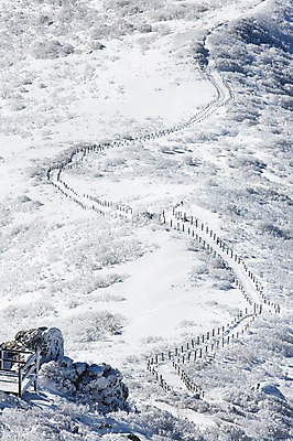 포토 JPG 주간 계절 길 배경화면 겨울 자연 풍경 사람없음 야외 울타리 전라북도 덕유산 상고대 국내포토 자연요소 산 담장 전라도 생태계 서리 무주 파일형식