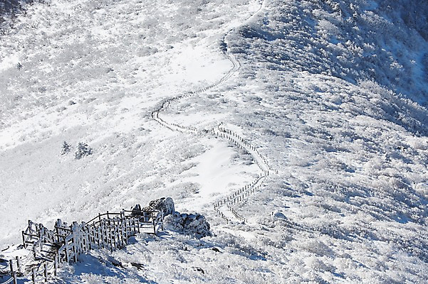포토 JPG 주간 계절 길 겨울 자연 풍경 사람없음 야외 울타리 전라북도 덕유산 상고대 국내포토 자연요소 산 담장 전라도 생태계 서리 무주 파일형식