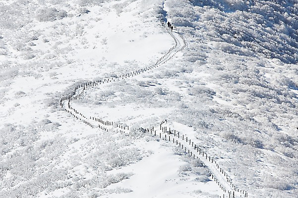 포토 JPG 주간 계절 길 겨울 자연 풍경 사람없음 야외 울타리 전라북도 덕유산 상고대 국내포토 자연요소 산 담장 전라도 생태계 서리 무주 파일형식
