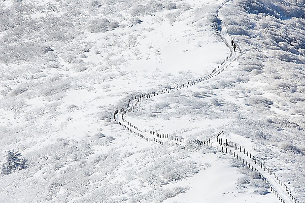 포토 JPG 주간 계절 길 겨울 자연 풍경 사람없음 야외 울타리 전라북도 덕유산 상고대 국내포토 자연요소 산 담장 전라도 생태계 서리 무주 파일형식