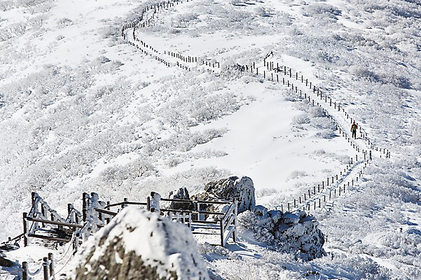 포토 JPG 주간 계절 길 겨울 자연 풍경 사람없음 야외 울타리 전라북도 덕유산 상고대 국내포토 자연요소 산 담장 전라도 생태계 서리 무주 파일형식