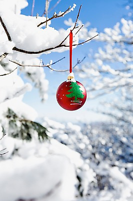 포토 JPG 주간 나무 계절 겨울 자연 크리스마스용품 풍경 사람없음 야외 아웃포커스 방울 전라북도 덕유산 상고대 국내포토 자연요소 식물 크리스마스 산 촬영기법 장식 전라도 용품 생태계 서리 무주 파일형식
