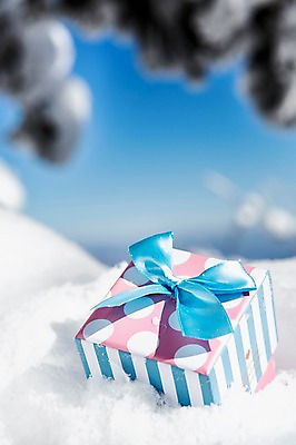 포토 JPG 주간 계절 겨울 자연 풍경 근접촬영 사람없음 야외 아웃포커스 선물상자 눈 전라북도 덕유산 상고대 국내포토 자연요소 뷰포인트 날씨 산 촬영기법 선물 상자 전라도 생태계 서리 무주 파일형식