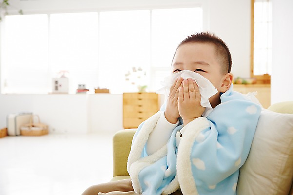 포토 JPG 남자 어린이 실내 한명 사람 동양인 손짓 상반신 유치원생 고통 한국인 화장지 질병 담요 감기 코감기 남자만 남자한명만 어린이만 소년만 소년한명만 국내포토 1 감정 의학 모션 인종 내부 감기_질병 파일형식