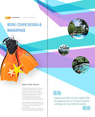 PSD 나무 식물 템플릿 편집 표지디자인 북디자인 내지 리플렛 여행 백그라운드 2단접지 북커버 휴가 불가사리 수영장 팜플렛 라이프 야자수 오리발 휴양지 이미지템플릿 극피동물 생활 장소 파일형식