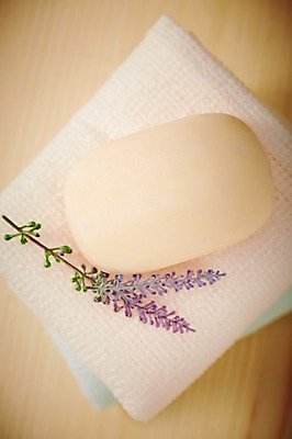 포토 JPG 스튜디오촬영 식물 꽃 생활용품 실내 사람없음 아웃포커스 위생용품 뷰티 오브젝트 비누 목욕타월 국내포토 촬영기법 내부 수건 파일형식