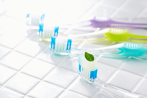 포토 JPG 스튜디오촬영 생활용품 나뭇잎 실내 사람없음 아웃포커스 위생용품 뷰티 칫솔 타일 오브젝트 치약 국내포토 잎 촬영기법 내부 파일형식