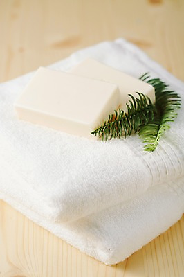 포토 JPG 스튜디오촬영 생활용품 나뭇잎 실내 사람없음 아웃포커스 수건 위생용품 뷰티 오브젝트 비누 국내포토 잎 촬영기법 내부 파일형식