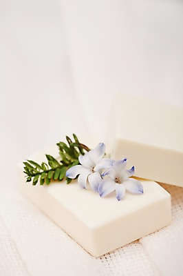 포토 JPG 스튜디오촬영 식물 꽃잎 생활용품 실내 사람없음 위생용품 뷰티 오브젝트 비누 목욕타월 국내포토 꽃 내부 수건 파일형식