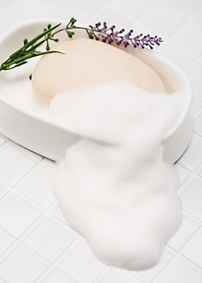 포토 JPG 스튜디오촬영 식물 꽃 생활용품 실내 사람없음 위생용품 뷰티 거품 타일 오브젝트 비누 국내포토 내부 파일형식