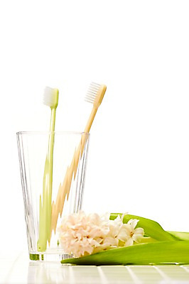 포토 JPG 스튜디오촬영 식물 꽃 생활용품 잔 실내 사람없음 컵 위생용품 뷰티 칫솔 오브젝트 국내포토 식기 내부 파일형식