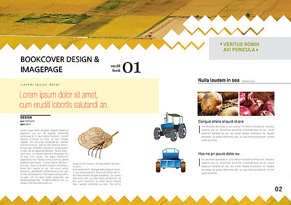 PSD 템플릿 편집 모자 표지디자인 북디자인 표지 백그라운드 채소 북커버 양파 감자 사람없음 농경지 농사 잡지 귀농 갈고리 경운기 표지샘플 이미지템플릿 잡화 농업 간행물 농장 농기계 파일형식