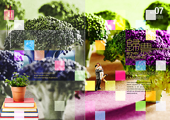 PSD 식물 템플릿 편집 표지디자인 북디자인 내지 화분 백그라운드 채소 북커버 사람없음 책 미니어처 잡지 브로콜리 귀농 표지샘플 이미지템플릿 농업 간행물 모형 파일형식