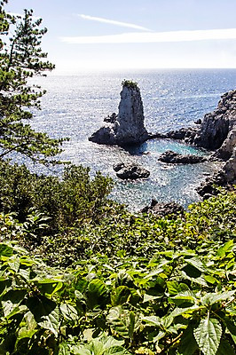 포토 JPG 주간 바다 한국 풍경 사람없음 야외 제주도 돌_바위 바위 풀 외돌개 국내포토 자연요소 식물 아시아 파일형식