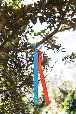 포토 JPG 주간 나무 리본 한국 풍경 사람없음 야외 제주도 올레길 외돌개 국내포토 자연요소 식물 아시아 길 파일형식