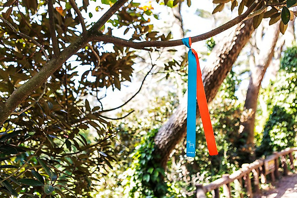 포토 JPG 주간 나무 리본 한국 풍경 사람없음 야외 제주도 올레길 외돌개 국내포토 자연요소 식물 아시아 길 파일형식