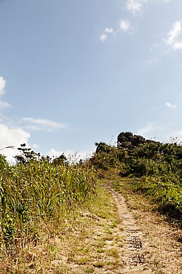 포토 JPG 주간 구름 여행 하늘 한국 풍경 사람없음 야외 제주도 풀 군산오름 국내포토 자연요소 식물 아시아 오름 서귀포 파일형식