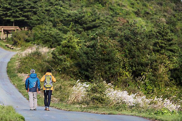 포토 JPG 주간 전신 나무 남자 아들 50대 여행 배낭 가족 한국 갈대 사람 성인 취미 야외 두명 뒷모습 30대 부모 제주도 걷기 등산 한국인 자녀 아빠 등산복 즐거움 상쾌 오름 부자지간 성인남자만 국내포토 자연요소 식물 옷 감정 아시아 뷰포인트 중년 가방 관계 모션 동양인 장년 트래킹 남자만 성인만 파일형식