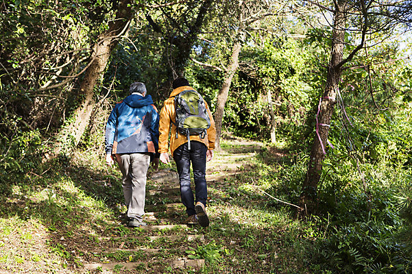 포토 JPG 주간 전신 남자 아들 50대 여행 배낭 가족 한국 사람 성인 취미 야외 두명 뒷모습 30대 부모 제주도 걷기 등산 한국인 자녀 아빠 등산복 즐거움 상쾌 오름 부자지간 성인남자만 국내포토 자연요소 옷 감정 아시아 뷰포인트 중년 가방 관계 모션 동양인 장년 트래킹 남자만 성인만 파일형식