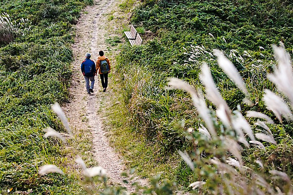 포토 JPG 주간 전신 남자 아들 50대 여행 배낭 가족 한국 갈대 사람 성인 취미 야외 두명 뒷모습 30대 부모 제주도 걷기 등산 한국인 자녀 풀 아빠 등산복 즐거움 상쾌 오름 부자지간 성인남자만 국내포토 자연요소 식물 옷 감정 아시아 뷰포인트 중년 가방 관계 모션 동양인 장년 트래킹 남자만 성인만 파일형식