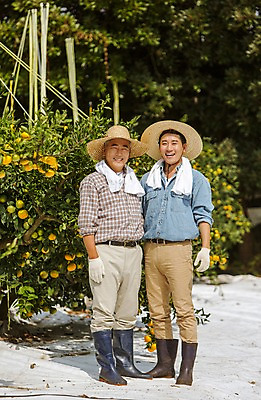 포토 JPG 주간 전신 남자 행복 아들 50대 가족 귤 한국 작업복 서기 미소 사람 성인 야외 두명 30대 부모 수건 제주도 농장 농사 기쁨 한국인 자녀 체험 아빠 과수원 즐거움 밀짚모자 귀농 제주감귤 귤나무 차렷 부자지간 성인남자만 국내포토 자연요소 나무 모자_잡화 옷 감정 아시아 중년 포즈 컨셉 농업 과일 관계 모션 표정 동양인 장년 위생용품 특산물 남자만 성인만 파일형식